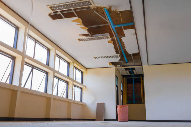 Best Commercial water damage restoration  in Lopezville, TX
