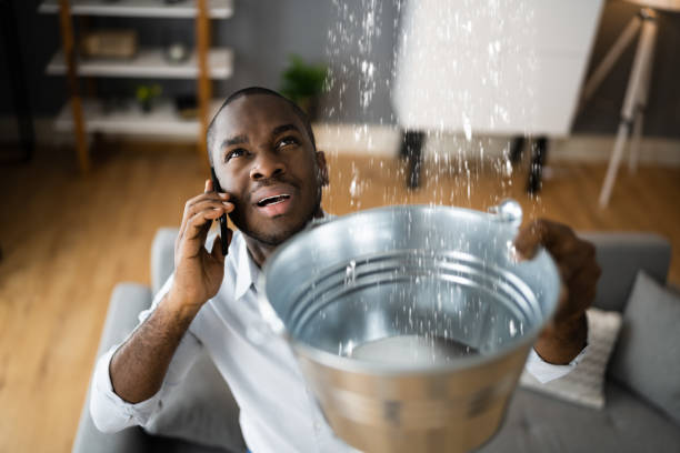 Best Residential water damage restoration  in Lopezville, TX