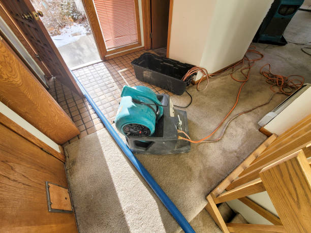 Best Water damage contractors near me  in Lopezville, TX