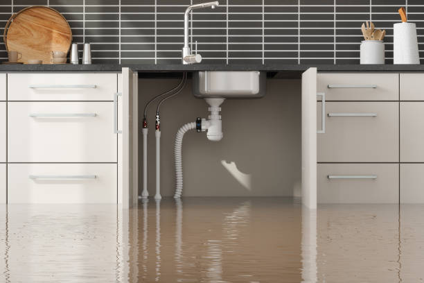 Best Local water damage restoration  in Lopezville, TX